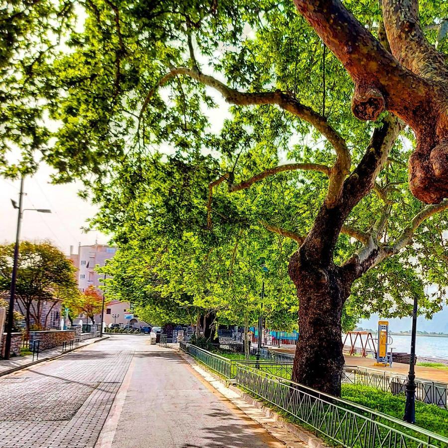 Nafpaktos Beach Luxury Suites Kültér fotó
